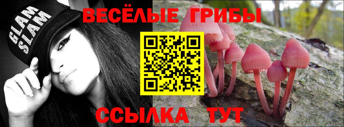 Псилоцибиновые грибы прущие грибы Шахты